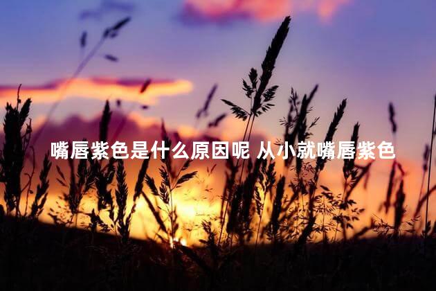 嘴唇紫色是什么原因呢 从小就嘴唇紫色是什么原因